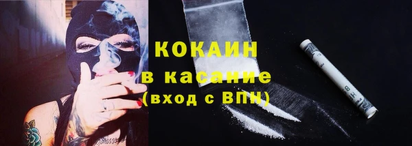 бошки Аркадак