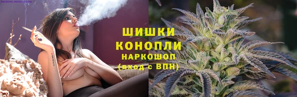 бошки Аркадак