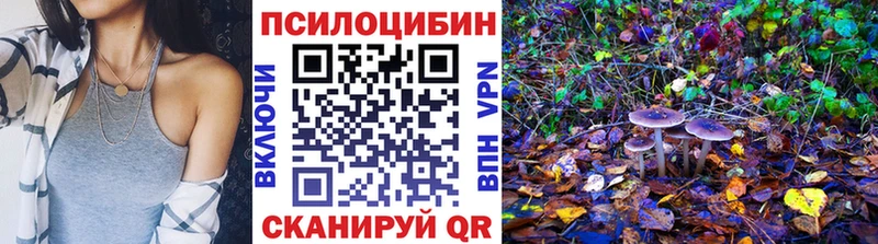 Галлюциногенные грибы Psilocybe  Лиски 